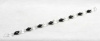 Бра Lussole Loft Greenlee LSP-8082V — купить в Bronko‑Decor