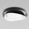 Потолочный светильник Loft IT Petale 10256 Black — купить в Bronko‑Decor