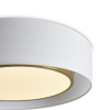 Потолочный светильник Freya Cozy FR6170CL-L52BS — купить в Bronko‑Decor