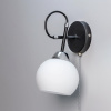 Бра Citilux Стивен CL141411 — купить в Bronko‑Decor