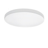 Потолочный светодиодный светильник Lightstar Zocco Cyl Led 225264 — купить в Bronko‑Decor