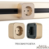 Трековая розетка Arte Milano Am-track-sockets 380022TS/ES Gold — купить в Bronko‑Decor