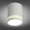 Потолочный светодиодный светильник Omnilux Fortezza OML-100109-12 — купить в Bronko‑Decor