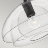 Подвесной светильник Hinkley Lotus QN-LOTUS-P-BLK — купить в Bronko‑Decor