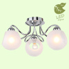 Накладная люстра Lussole Lgo Iliamna GRLSP-8139 — купить в Bronko‑Decor