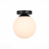 Настенно-потолочный светильник ST Luce Acini SL717.401.01 — купить в Bronko‑Decor