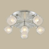 Спот Citilux Самба CL158162 — купить в Bronko‑Decor