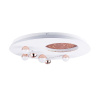 Потолочная люстра Favourite Plaides 4630-5C — купить в Bronko‑Decor