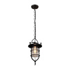 Подвесной светильник LOFT IT Warehouse Loft1141 — купить в Bronko‑Decor
