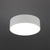 Потолочный светильник Aployt Evon APL.0114.09.12 — купить в Bronko‑Decor