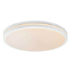 Потолочный светодиодный светильник Globo Lova 41607-36 — купить в Bronko‑Decor