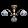 Потолочная люстра MW-Light Ариадна 450011503 — купить в Bronko‑Decor