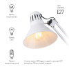 Настольная лампа ЭРА N-121-E27-40W-W C0041455 — купить в Bronko‑Decor