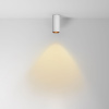 Накладной светильник Maytoni Focus led C056CL-L12W2.7K-W-W — купить в Bronko‑Decor