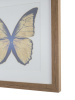 Постер Tomas Stern 83009 — купить в Bronko‑Decor