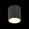 Потолочный светильник ST Luce Rene ST113.432.05 — купить в Bronko‑Decor