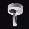 Спот MW-Light Астор 545020801 — купить в Bronko‑Decor