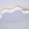 Потолочная люстра ImperiumLoft Cloud Eco 189500-26 — купить в Bronko‑Decor