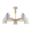 Потолочная люстра Arte Lamp A7141PL-5WH — купить в Bronko‑Decor