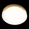 Потолочный светильник Loft IT Coin 10198 White — купить в Bronko‑Decor