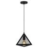 Подвесной светильник Seven Fires Arbi SF4040/1P-BK — купить в Bronko‑Decor