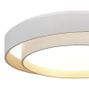 Потолочный светильник Evoluce Crosby SLE6009-502-01 — купить в Bronko‑Decor