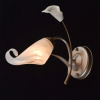 Бра MW-Light Восторг 19 242026601 — купить в Bronko‑Decor