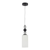 Подвесной светильник ST Luce Aurora SL2003.403.01 — купить в Bronko‑Decor
