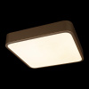 Потолочный светильник Loft IT Flims 10228/C — купить в Bronko‑Decor
