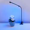 Светодиодный светильник для растений Elektrostandard FT-004 4690389167416 — купить в Bronko‑Decor