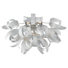 Потолочный светильник Lussole Loft LSA-5927-09 — купить в Bronko‑Decor