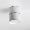Накладной спот Lightstar Acuto 215836 — купить в Bronko‑Decor