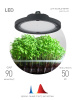 Фитопрожектор для растений Эра FITO-50W-RB-LED-UFO Б0053280 — купить в Bronko‑Decor