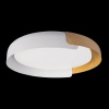 Потолочный светильник Loft IT Coin 10198 White — купить в Bronko‑Decor