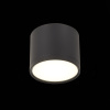 Потолочный светильник ST Luce Rene ST113.442.09 — купить в Bronko‑Decor