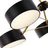 Потолочный светильник Evoluce Valle SLE6005-402-03 — купить в Bronko‑Decor