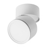 Накладной спот Lightstar Acuto 215886 — купить в Bronko‑Decor