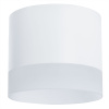 Потолочный светильник Arte Lamp Castor A5554PL-1WH — купить в Bronko‑Decor
