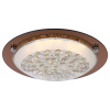 Потолочный светодиодный светильник Globo Tabasco 48263 — купить в Bronko‑Decor