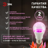 Фитолампа для растений Эра ФИТО A65-20W-PL-E27-GR Б0068597 — купить в Bronko‑Decor