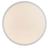 Потолочный светодиодный светильник Globo Lova 41607-36 — купить в Bronko‑Decor