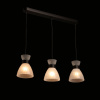 Подвесной светильник De Markt Лоск 107010603 — купить в Bronko‑Decor