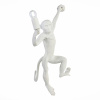 Бра Evoluce Tenato SLE115111-01 — купить в Bronko‑Decor