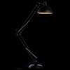 Торшер Arte Lamp Goliath A2487PN-1BK — купить в Bronko‑Decor