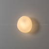 Настенный светильник Cloyd Geroll 20361 — купить в Bronko‑Decor