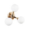 Бра Modestyle MS.6116.03 GD — купить в Bronko‑Decor