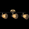 Спот Reluce 05966-0.8-03 GOLD+BK — купить в Bronko‑Decor