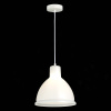 Подвесной светильник Evoluce Bacchi SLE114703-01 — купить в Bronko‑Decor