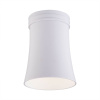 Потолочный светильник Elektrostandard DLN100 GU10 WH белый 4690389136146 — купить в Bronko‑Decor