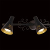 Спот Citilux Дункан CL529531 — купить в Bronko‑Decor